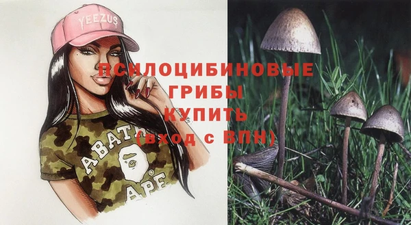 стафф Белокуриха