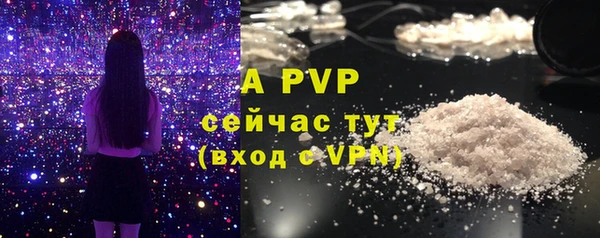 стафф Белокуриха