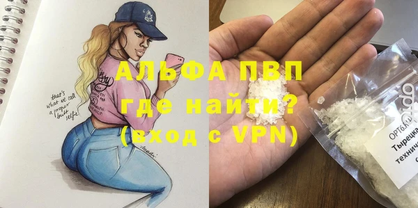 стафф Белокуриха