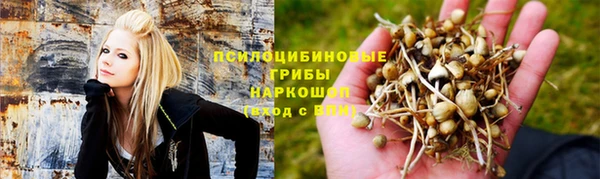стафф Белокуриха