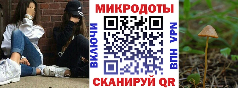 Псилоцибиновые грибы мухоморы  blacksprut ТОР  сайты даркнета как зайти  Волосово 